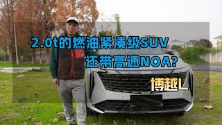 博越L：带高速NOA的2.0T燃油紧凑型SUV