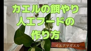 【カエル餌やり】人工フードの作り方