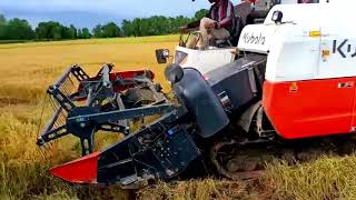 Harvest rice in takeo #ម៉ាស៊ីនច្រូតស្រូវ