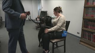 Wood County adds facility dog to help comfort witnesses in the courtroom: Meet Norene