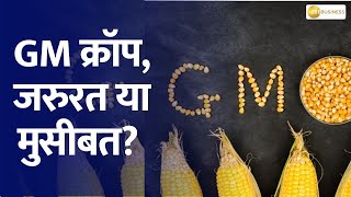 Can India Become Self-Reliant in Edible Oils with GM Crops?