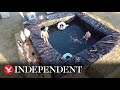 Farmers create swimming pool out of hay bales during heatwave