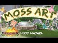 Matanglawin: Moss Art |  Habil Crafts