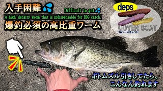 【バス釣り】入手困難💦爆釣必須のカバースキャット、その実力はいか程か…🤔