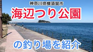 【写真で解説】海辺つり公園の釣り場・つりスポットを紹介 海釣り 横須賀市 東京湾側