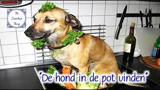 S02E02 - The Dutchest Thing - De hond in de pot vinden