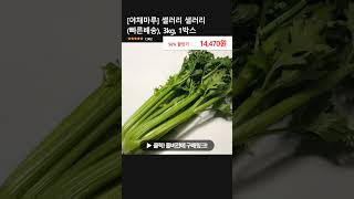 [야채마루] 셀러리 샐러리 (빠른배송), 3kg, 1박스