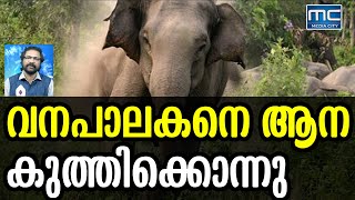 പത്തനംതിട്ട റാന്നിയില്‍ വനപാലകനെ ആന കുത്തിക്കൊന്നു