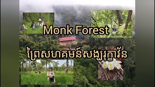 ព្រៃសហគមន៍សង្ឃរុក្ខាវ័ន (Monk Forest)