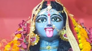 Howrah Nav Yubak Mangal Dal Kali Puja 2023. Video Artist -Manav