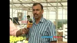 Abdul Rahman, a malayali agriculture enthusiast in Saudi Arabia: Gulf Round UP 25th Nov 2013 Part 2