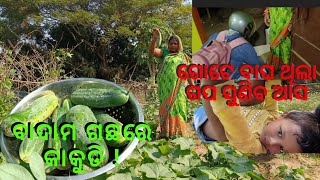 ଆସନ୍ତୁ ଶୁଣିବା ଗପ || village life style || Mili ♥️ Chintu vlogs