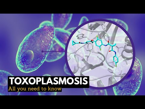 What is the mortality rate of toxoplasmosis?