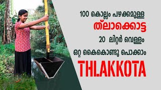 100 years old irrigation method of Kerala , 100 വർഷം പഴക്കമുള്ള ത്ലാവ് കെട്ടൽ