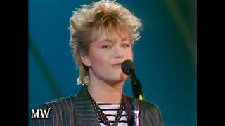 1982, HALLÅ HELA PRESSEN, CHATTANOOGA, MELODIFESTIVALEN 1982, SVT