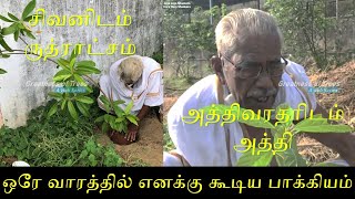 சிவனிடம் ருத்ராட்சம், அத்திவரதரிடம் அத்தி; ஒரே வாரத்தில் எனக்கு கூடிய பாக்கியம்