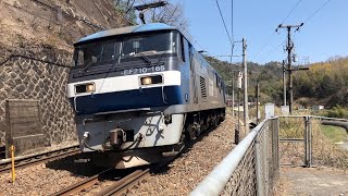 2022年4月 山陽本線 貨物列車 瀬野八で撮影 EF210の汽笛あり♪