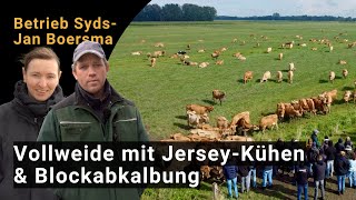 Full grazing with Jersey cows and block calving | Demo event at the farm of Syds-Jan Boersma