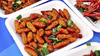 Food Facts: 7 Reasons to Eat Insects