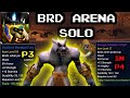 BRD Arena Solo Hunter Guide SoD P3