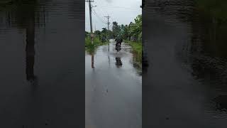 Aluva Kochi Metro Muttom Yard Flood