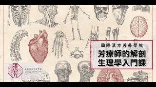 【國際漢方芳療學院線上學校】芳療師解剖生理學入門-搶先看