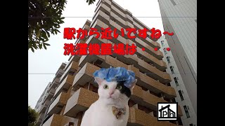 ライオンズマンション東神奈川　604