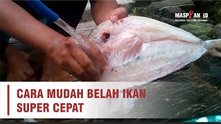 TUTORIAL BELAH IKAN SUPER CEPAT - MASPIAN iD