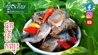 ផ្អកត្រីកញ្ចុះ Fermented Mystus Rhegma Fishes