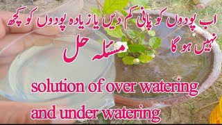 ziyada Pani den ya Kam paodon ko kuch nhi hoga | solution of over watering and under watering