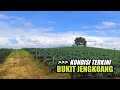 Jalur Menuju Bukit Jengkoang