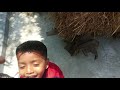 যশোরে আমাদের এবারের ঈদ how was this eid in jashore eid vlog shohel rana blog village vlog