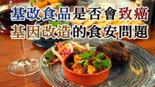 基改食品是否會致癌？基因改造的食安問題？