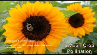 Introduction To The Invest Crop Pollination Model Doovi