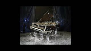 EXPENSIVE PIANO - Kawai Crystal Grand