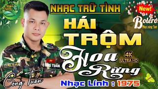 #LK HÁI TRỘM HOA RỪNG ➤CA NHẠC TRỮ TÌNH HẢI NGOẠI👉BOLERO CÔNG TUẤN ĐỘC LẠ 2026 ➤NHẠC VÀNG XƯA BẤT HỦ