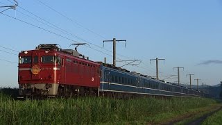 2013/08/02 津軽海峡線・急行「はまなす」【客車増結】