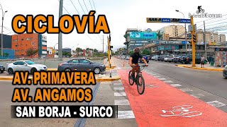 CICLOVÍA AV. PRIMAVERA - AV. ANGAMOS / SAN BORJA - SURCO (CONEXIÓN CON AV. AVIACIÓN) LIMA - PERU