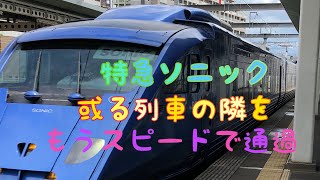 或る列車の隣を特急ソニックが猛スピードで通過する