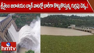 శ్రీశైలం జలాశయం బ్యాక్ వాటర్లో భారీగా కొట్టుకొస్తున్న గుర్రపు డెక్క..! | Srisailam Reservoir | hmtv