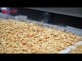 cashew roasting and seasoning line spicy cashew nuts production line