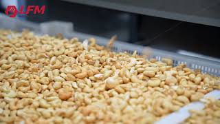 Cashew Roasting and Seasoning Line, Spicy Cashew Nuts Production Line