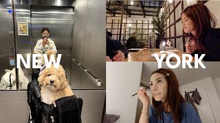 new york vlog | ume williamsburg, mala project, bar hopping, GRWM, spring rolls