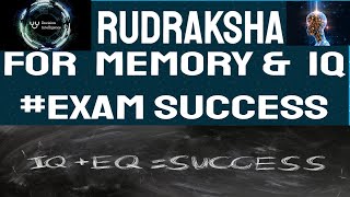 ?rudraksha For Memory \u0026 Intelligence Iq Rudraksha To Make Right Decisions I wing commander sharmaa