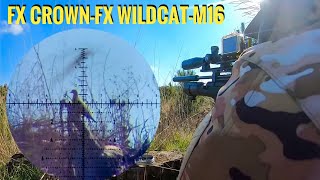 Caza de TÓRTOLAS | FX CROWN | FX WILDCAT MK3 BT