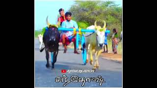 இளம் சாரதி  புளியங்குடிபட்டி சந்தோஷ் #recklarace #1millionviews #tamil