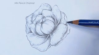 How to draw a Peony flower step by step | Pencil Drawing