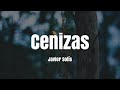 Javier Solís - Cenizas (LETRA)