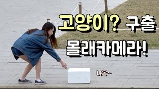 [몰래카메라] 고양이 구출 몰래카메라!! Saving A Cat? Or A Spider? (ENG CC)