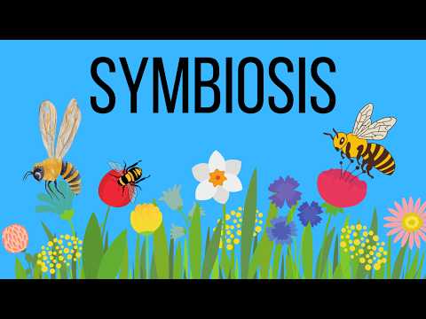 What is an example of symbiosis in a sentence?